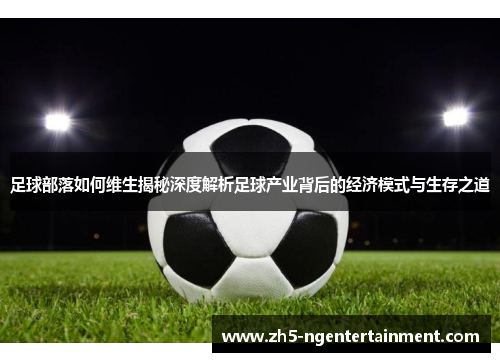 足球部落如何维生揭秘深度解析足球产业背后的经济模式与生存之道